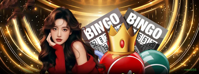 Imagem promocional do login da new666